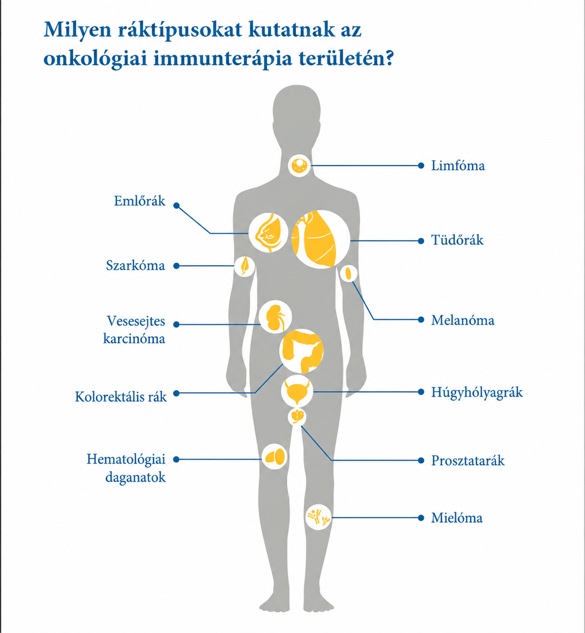 Az onkológiai immunterápia területén kutatott ráktípusok