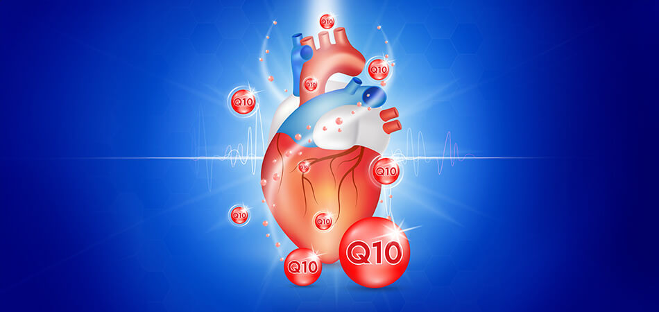 Les bienfaits de la coenzyme Q10 pour la sante cardiovasculaire