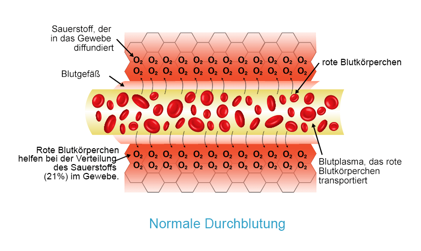 Normale Durchblutung