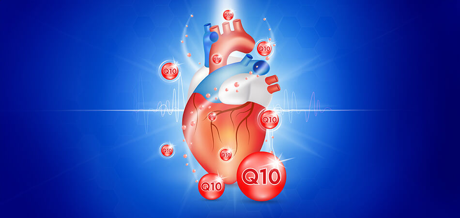 The benefits of Coenzyme Q10 in cardiovascular health